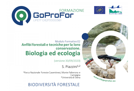 Anfibi forestali e tecniche per la loro conservazione